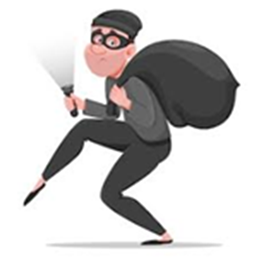 Fraudes Spécifiques par Type